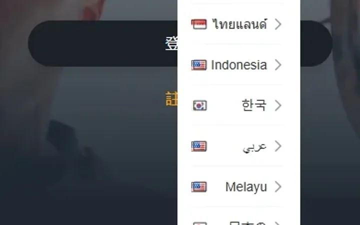 海外影视刷单抢单系统/多语言刷单/打针/叠加组 封面