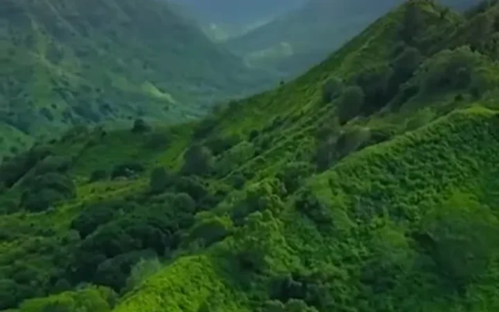 海外能源投资系统/清洁能源投资理财/注册问卷 封面